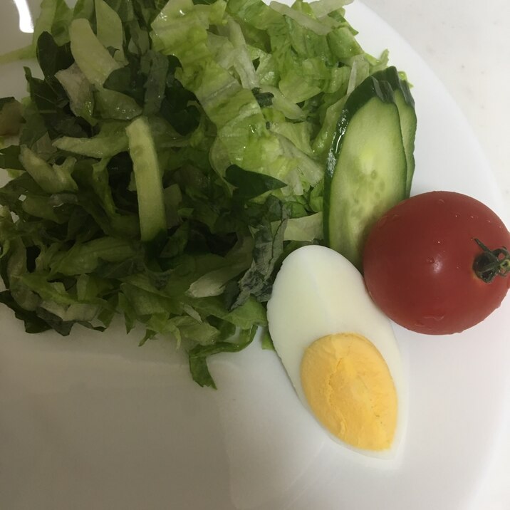 大葉とレタスの生野菜サラダとももことゆで卵添え☆